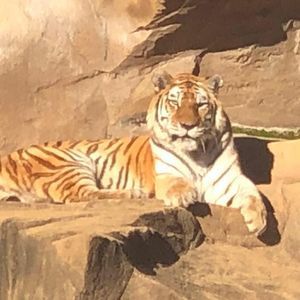 Meet your Posher, Jaime